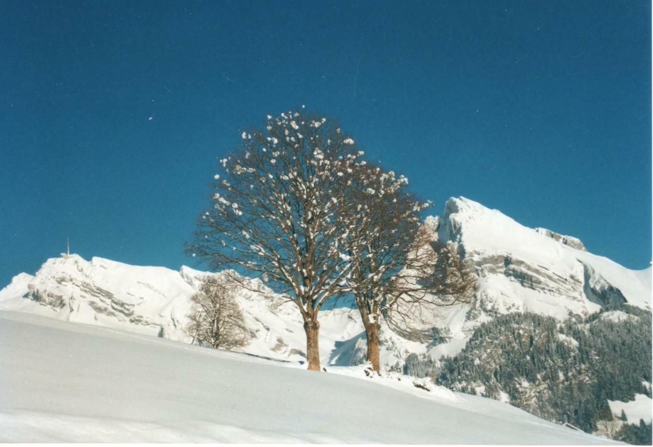 Ferienhaus Gubel Alt St. Johann Bagian luar foto