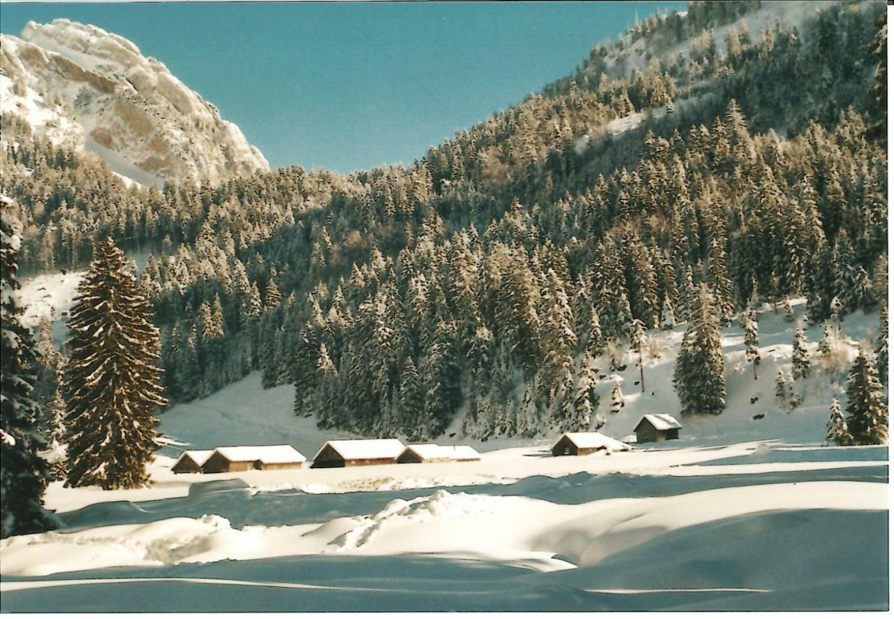 Ferienhaus Gubel Alt St. Johann Bagian luar foto